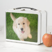Golden Retriever Puppy op Grass (In situ)