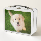 Golden Retriever Puppy op Grass (Voorkant)