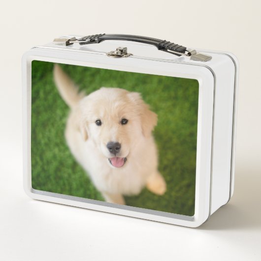 Golden Retriever Puppy op Grass (Voorkant)