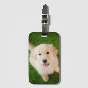Golden Retriever Puppy op Grass Bagagelabel