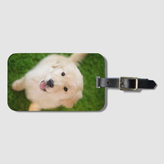 Golden Retriever Puppy op Grass Bagagelabel (Voorkant (horizontaal))