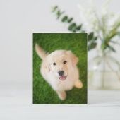 Golden Retriever Puppy op Grass Briefkaart (Staand voorkant)