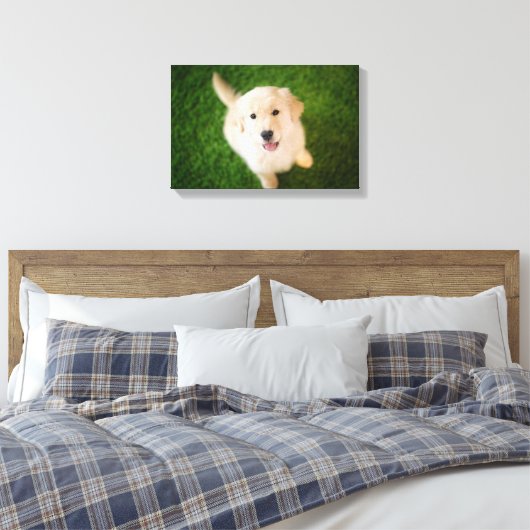 Golden Retriever Puppy op Grass Canvas Afdruk (Insitu (Slaapkamer))