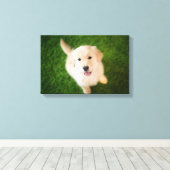Golden Retriever Puppy op Grass Canvas Afdruk (Insitu (Houten vloer))