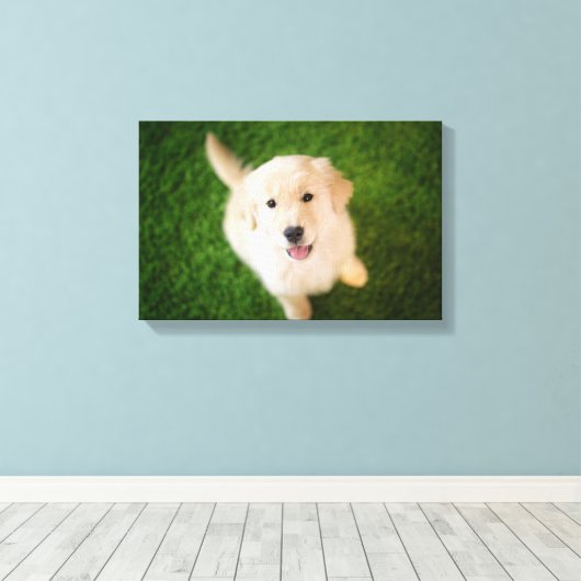 Golden Retriever Puppy op Grass Canvas Afdruk (Insitu (Houten vloer))
