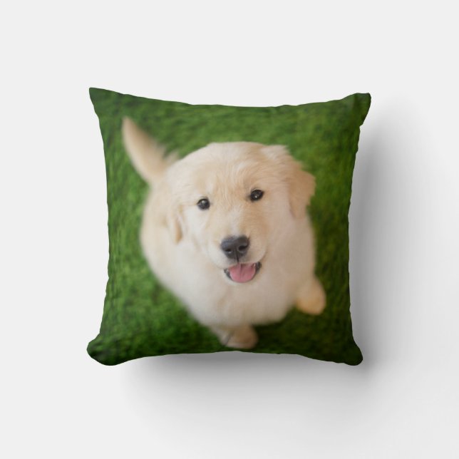 Golden Retriever Puppy op Grass Kussen (Voorkant)
