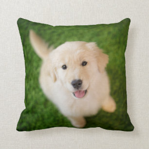 Golden Retriever Puppy op Grass Kussen