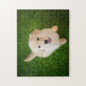 Golden Retriever Puppy op Grass Legpuzzel (Verticaal)