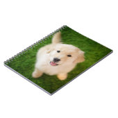 Golden Retriever Puppy op Grass Notitieboek (Linkerzijde)
