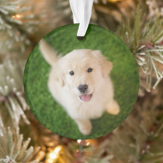 Golden Retriever Puppy op Grass Ornament (Boom)