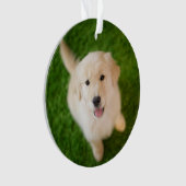 Golden Retriever Puppy op Grass Ornament (voorkant)