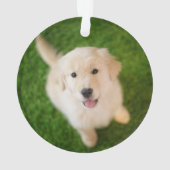 Golden Retriever Puppy op Grass Ornament (achterkant)