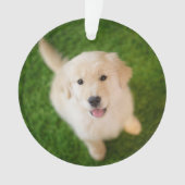 Golden Retriever Puppy op Grass Ornament (voorkant)