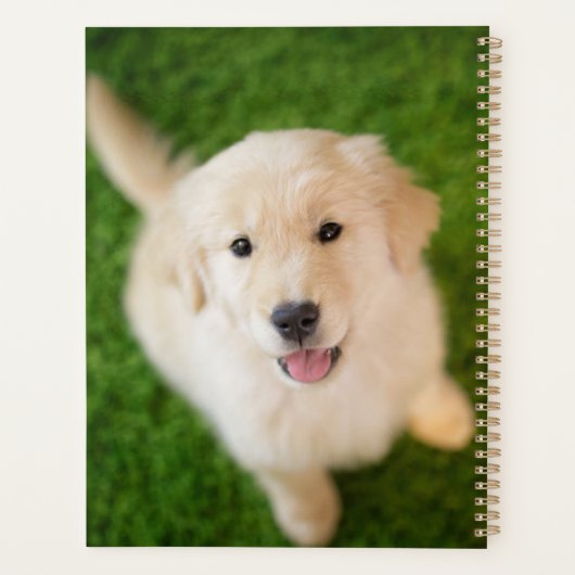 Golden Retriever Puppy op Grass Planner (Achterkant)