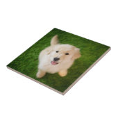 Golden Retriever Puppy op Grass Tegeltje (Zijkant)