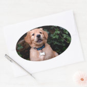 Golden Retriever Puppy Ovale Sticker (Envelop)