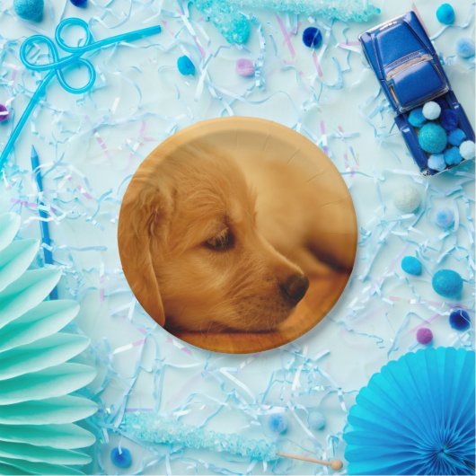 Golden Retriever Puppy Papieren Bordje (Feest)