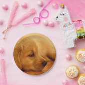 Golden Retriever Puppy Papieren Bordje (Feest)