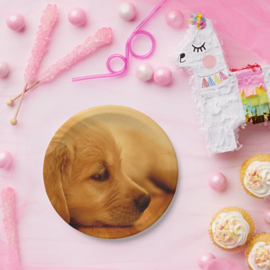 Golden Retriever Puppy Papieren Bordje (Feest)