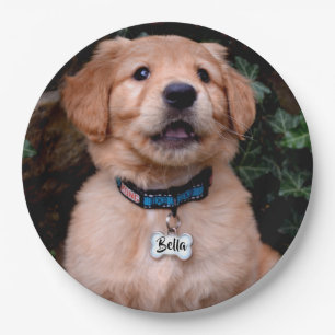 Golden Retriever Puppy personaliseren naamplaatje Papieren Bordje