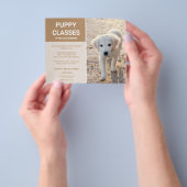 Golden Retriever Puppy Photo Custom Puppy Classes Flyer (Hand)