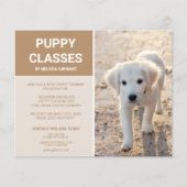 Golden Retriever Puppy Photo Custom Puppy Classes Flyer (Voorkant)