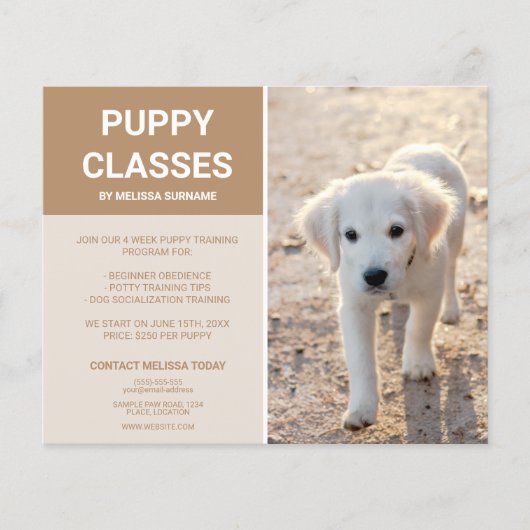 Golden Retriever Puppy Photo Custom Puppy Classes Flyer (Voorkant)