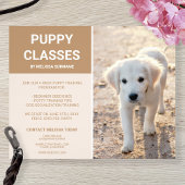 Golden Retriever Puppy Photo Custom Puppy Classes Flyer