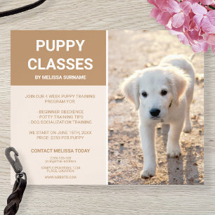Golden Retriever Puppy Photo Custom Puppy Classes Flyer
