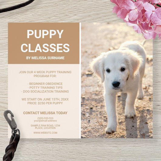 Golden Retriever Puppy Photo Custom Puppy Classes Flyer