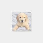 Golden Retriever Puppy Post It Notes (Voorkant)