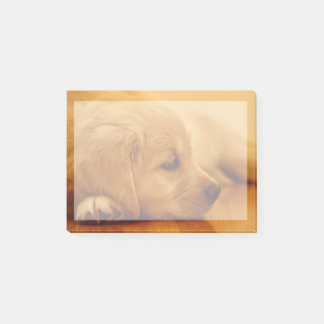 Golden Retriever Puppy Post-it® Notes