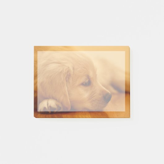 Golden Retriever Puppy Post-it® Notes (Voorkant)