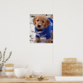 Golden Retriever Puppy Poster (Keuken)