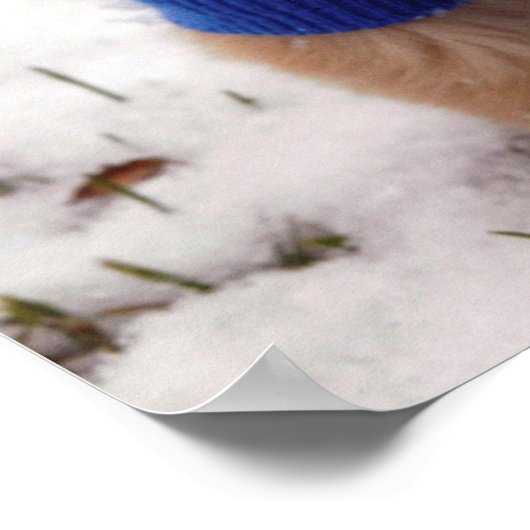 Golden Retriever Puppy Poster (Hoek)