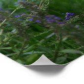 Golden Retriever Puppy Poster (Hoek)