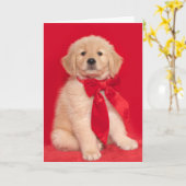 Golden Retriever Puppy Prettig Blaf Kerstmis Kaart (Gele Bloem)