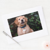 Golden Retriever Puppy Rechthoekige Sticker (Envelop)
