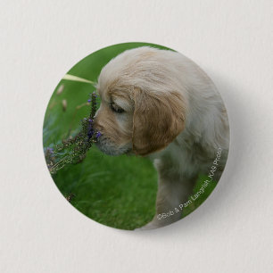 Golden Retriever Puppy Ronde Button 5,7 Cm