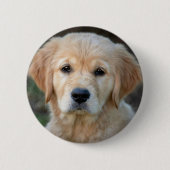 Golden Retriever Puppy Ronde Button 5,7 Cm (Voorkant)