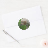 Golden Retriever Puppy Ronde Sticker (Envelop)