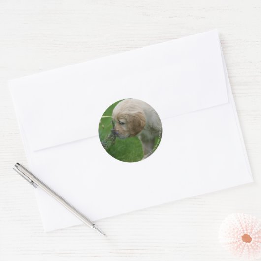 Golden Retriever Puppy Ronde Sticker (Envelop)