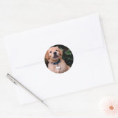Golden Retriever Puppy Ronde Sticker (Envelop)
