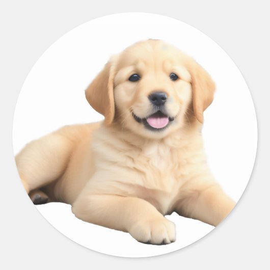 Golden Retriever Puppy Ronde Sticker (Voorkant)