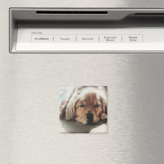 Golden Retriever Puppy slaapt in de zon Magneet (Insitu (Vaatwasser))