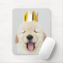 Golden Retriever Puppy Sleepy in Crown