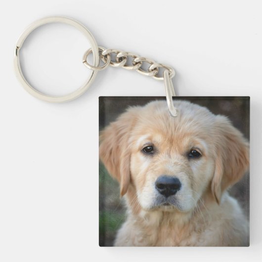 Golden Retriever Puppy Sleutelhanger (Voorkant)