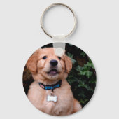 Golden Retriever Puppy Sleutelhanger (Voorkant)