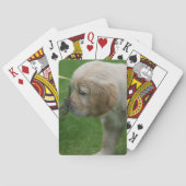 Golden Retriever Puppy Speelkaarten (Achterkant)