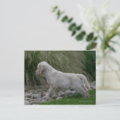 Golden Retriever Puppy Standing Briefkaart (Staand voorkant)